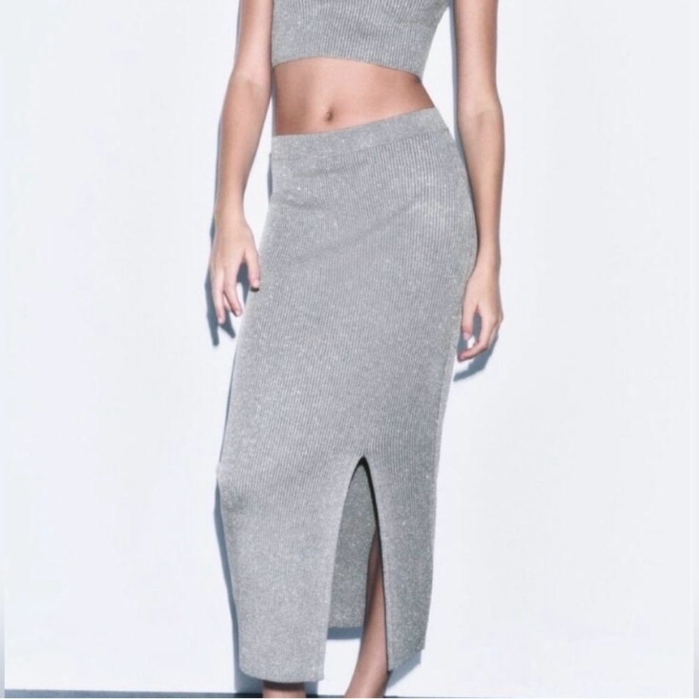 Zara Gray Maxi Skirt